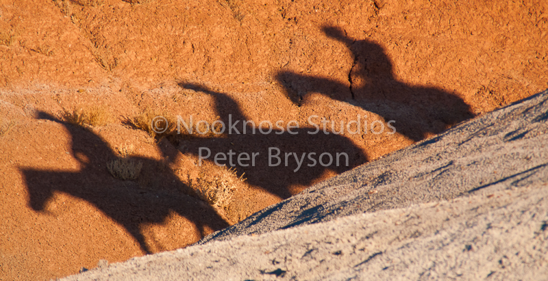 Horses- Silhouettes on Rock